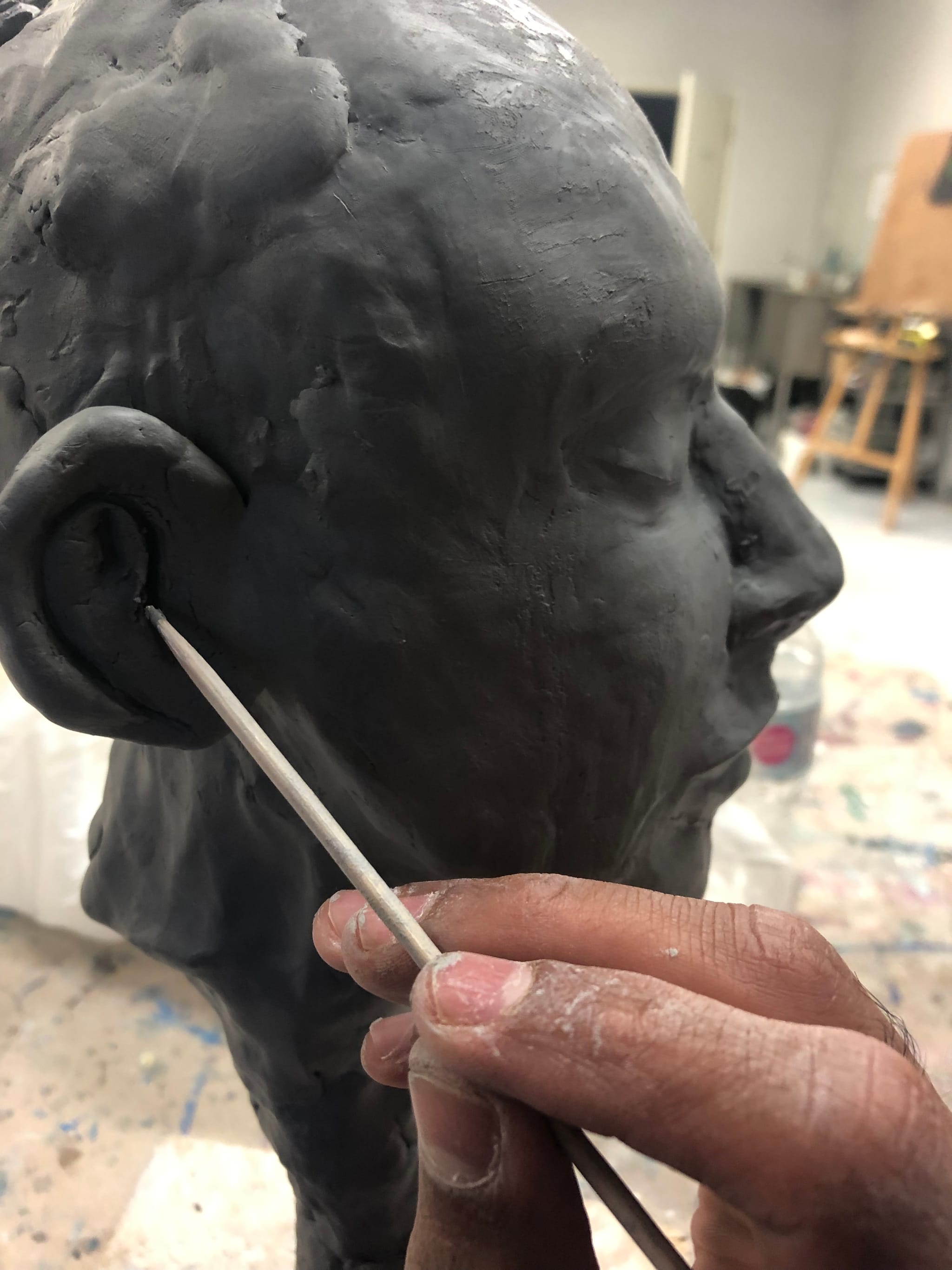 Bust study